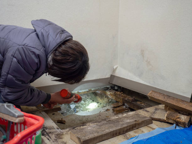 Mold Remediation for Vacation Homes in Lafayette, LA