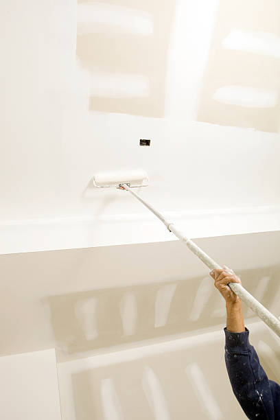 Reliable Lafayette, LA Mold Removal Solutions