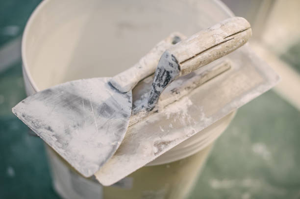 Best Dehumidification Services  in Fayette, LA