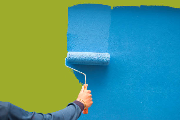 Best Mold Damage Restoration  in Fayette, LA
